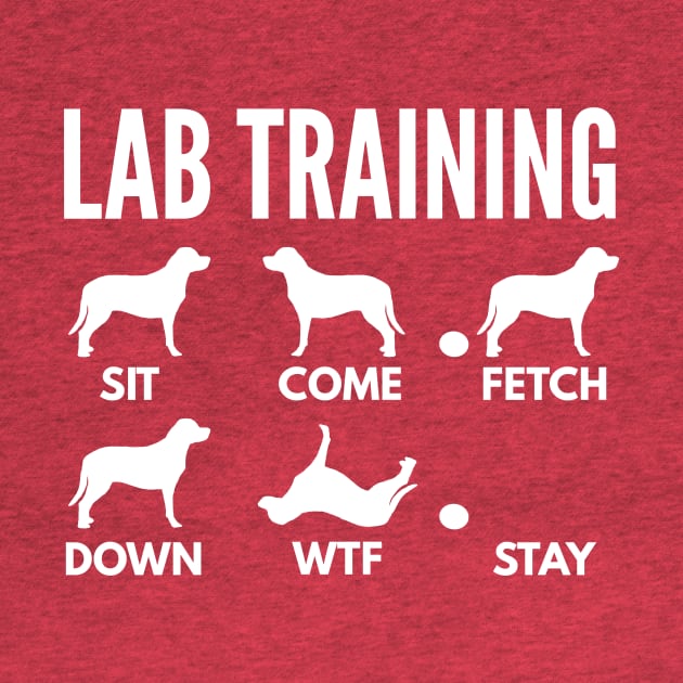 Lab Training Lab Dog Tricks by DoggyStyles